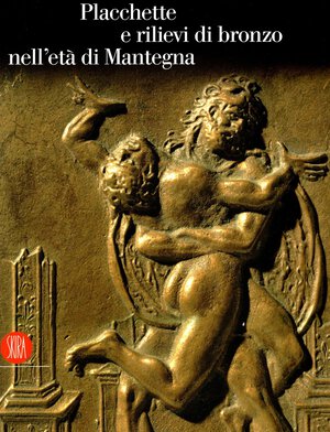 Immagine diritto