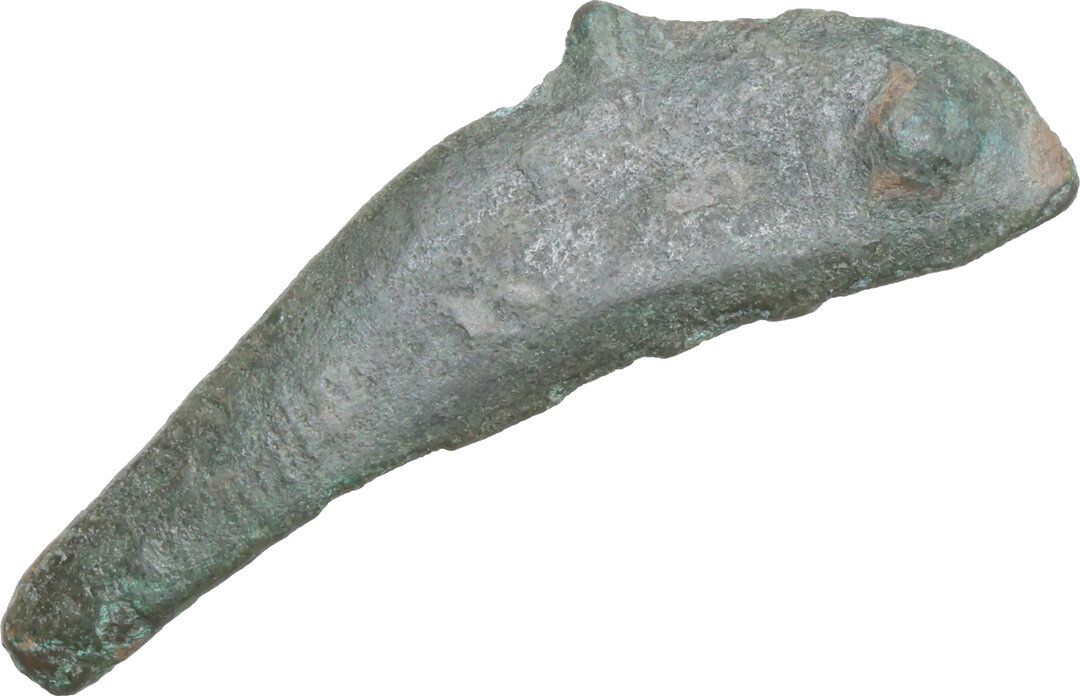 Dritto moneta