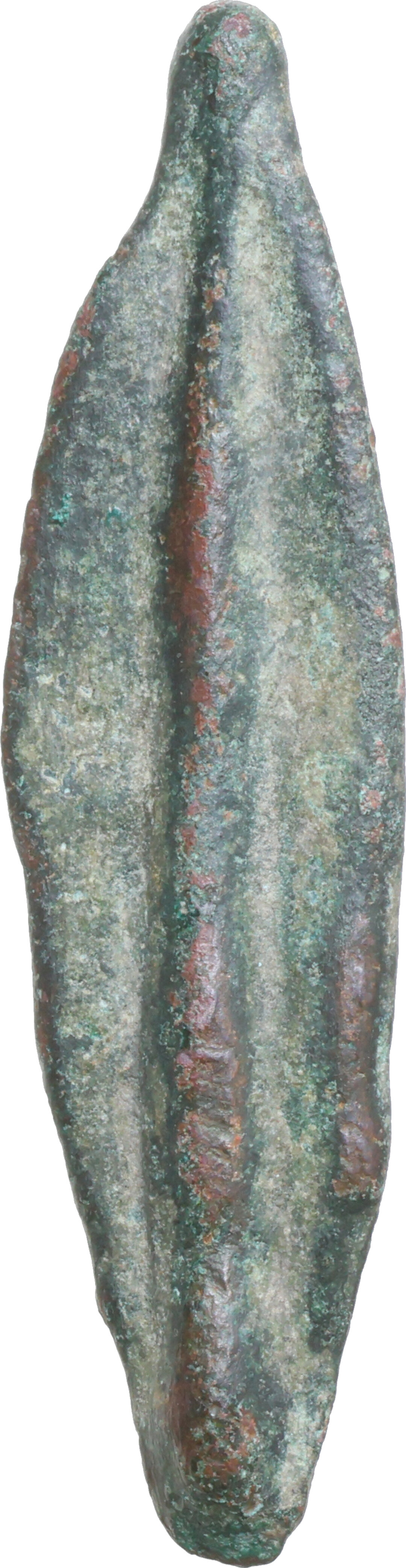 Dritto moneta