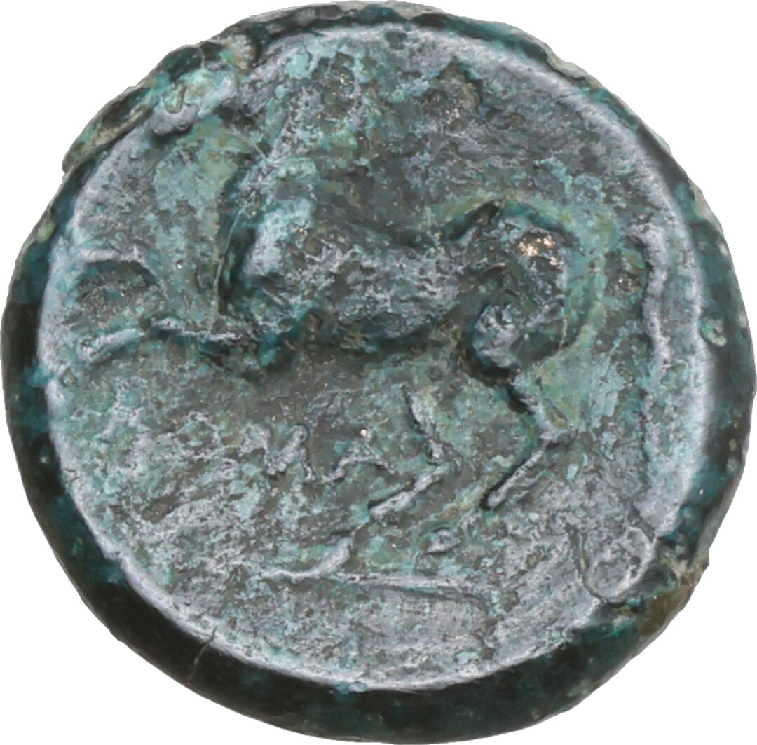 Rovescio moneta