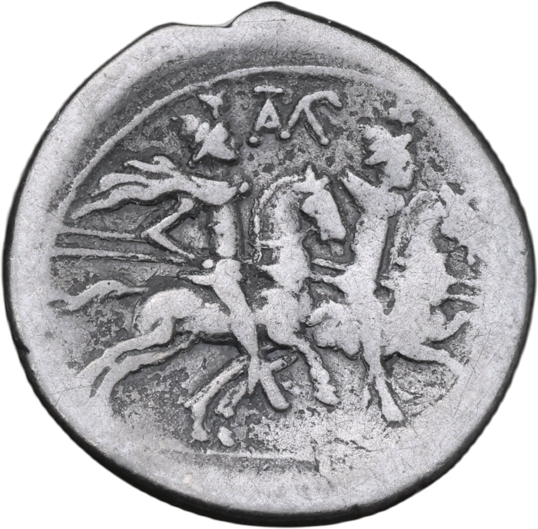 Rovescio moneta