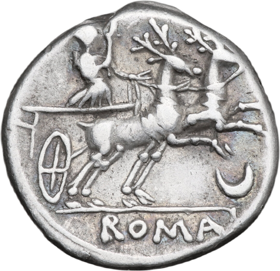 Rovescio moneta