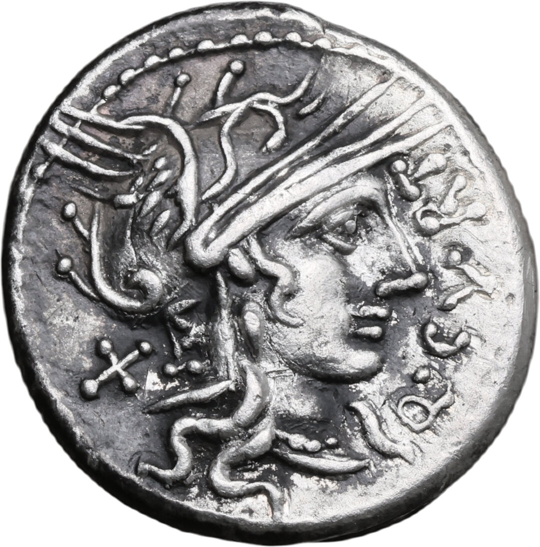 Dritto moneta