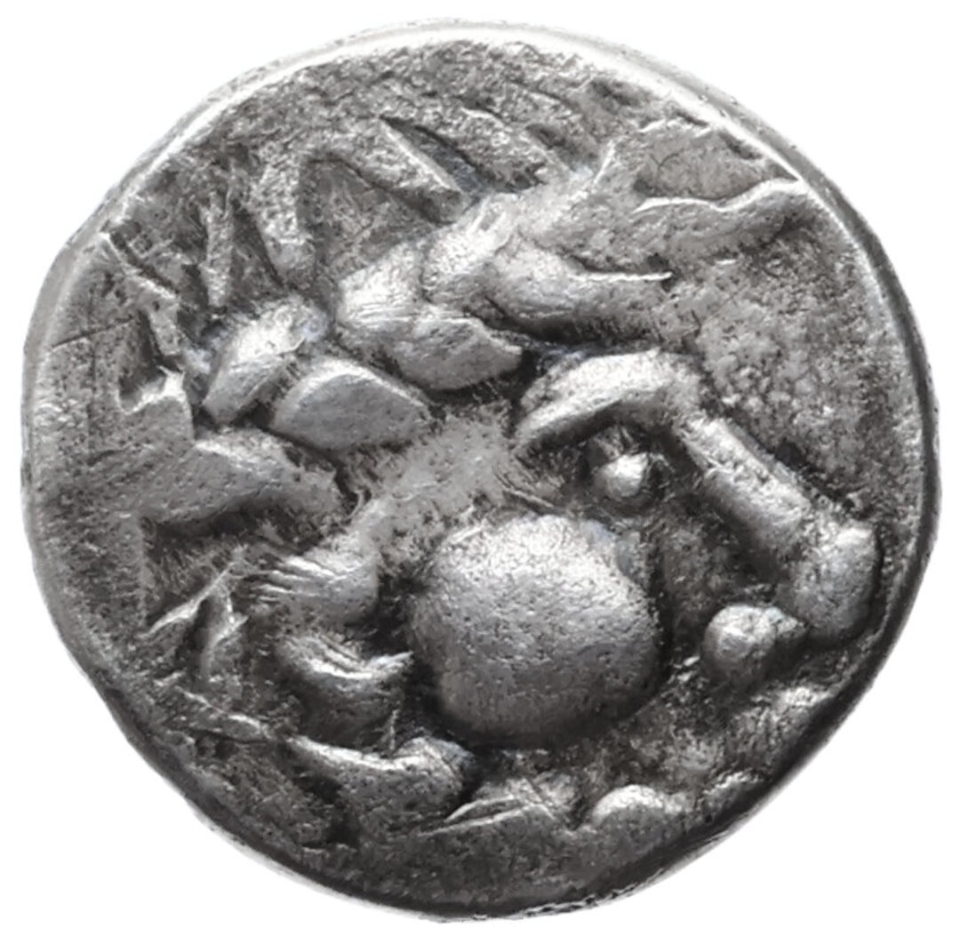 Dritto moneta