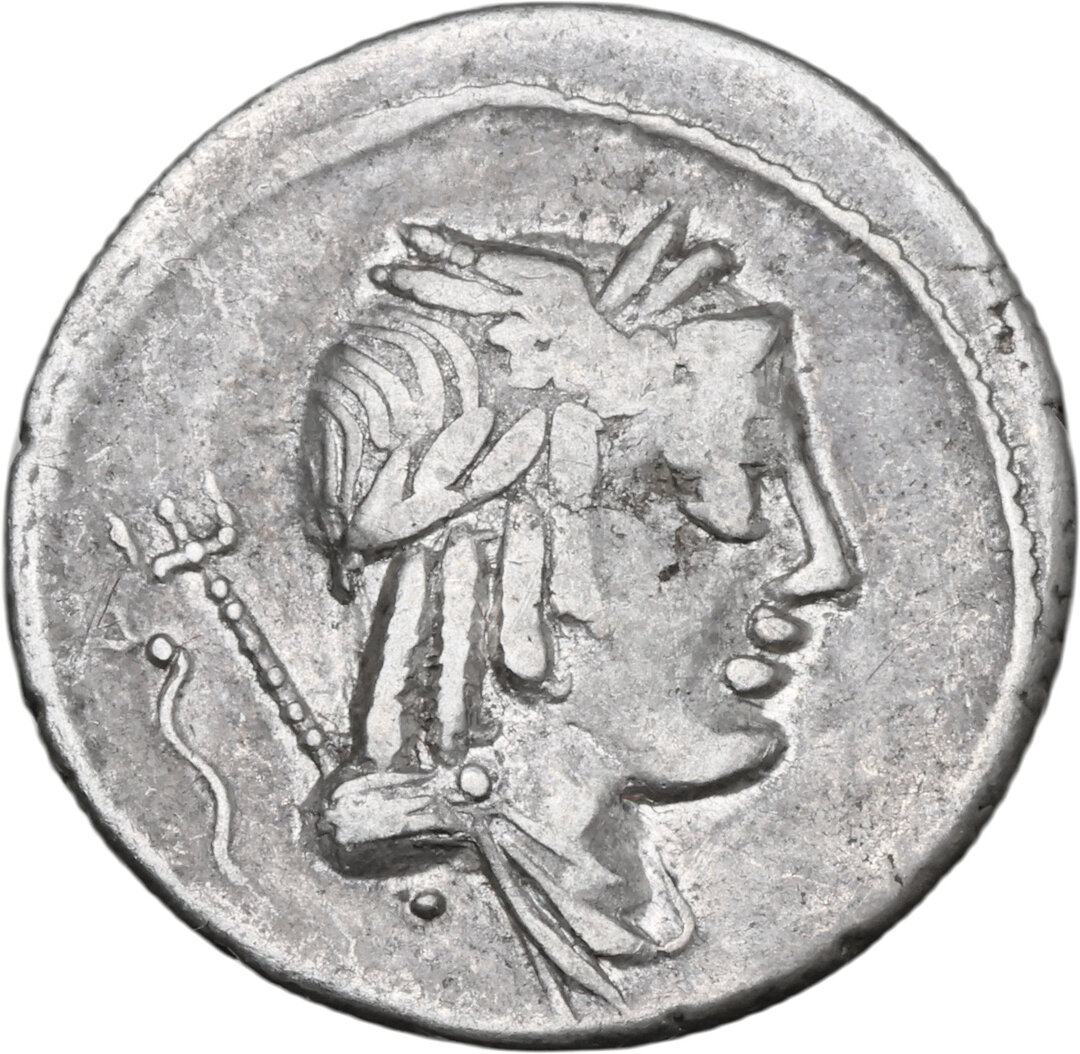 Dritto moneta