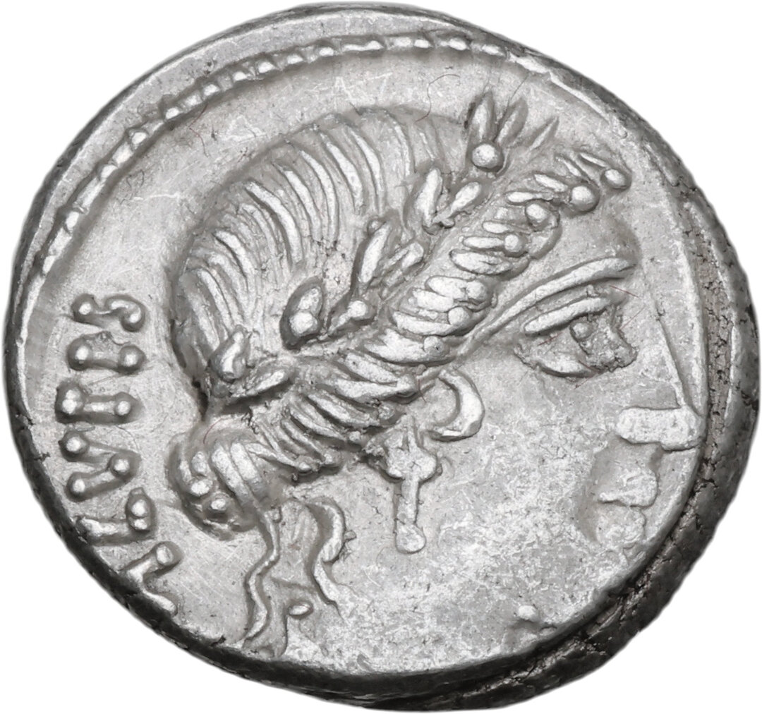 Dritto moneta