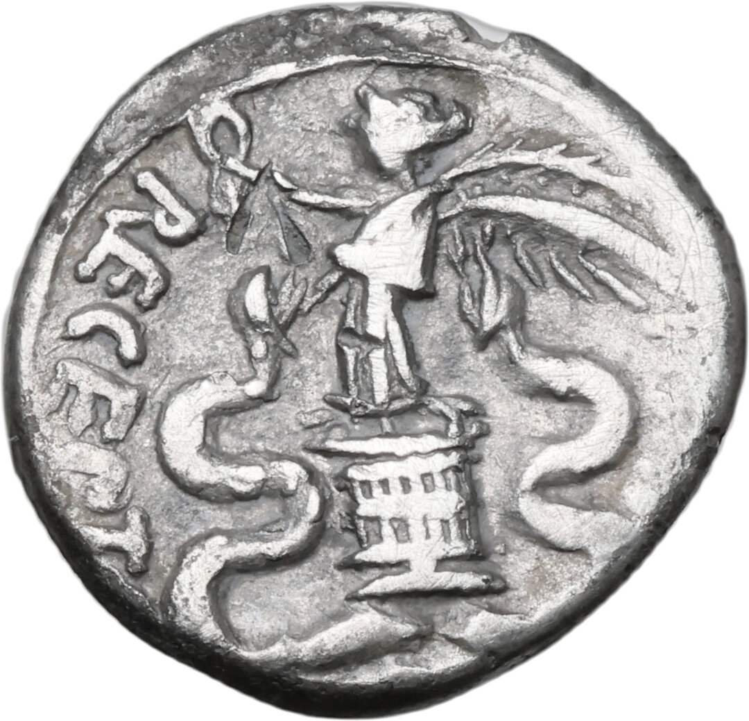 Rovescio moneta