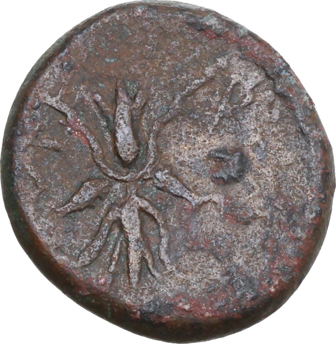Rovescio moneta