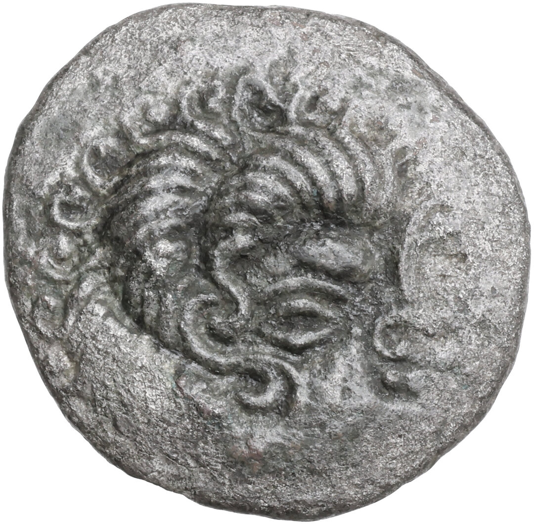 Dritto moneta