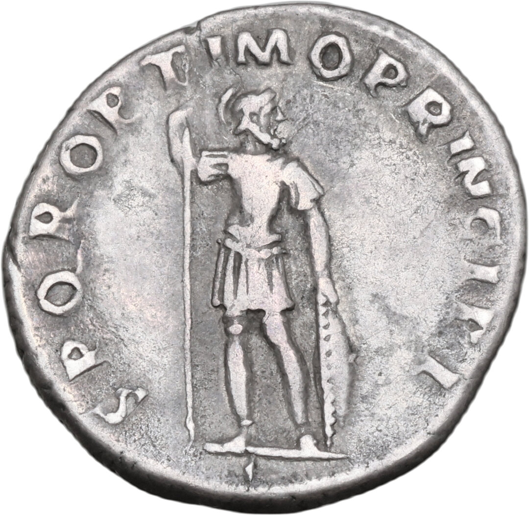Rovescio moneta