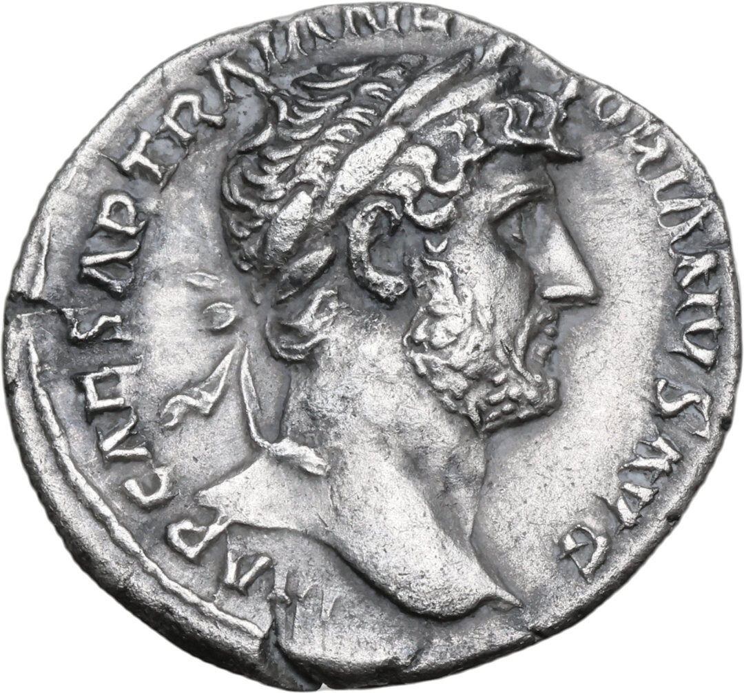 Dritto moneta