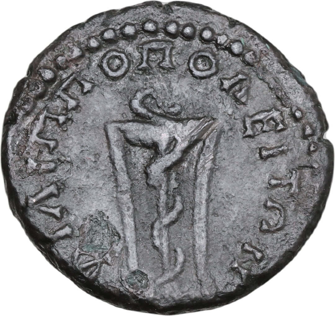 Rovescio moneta