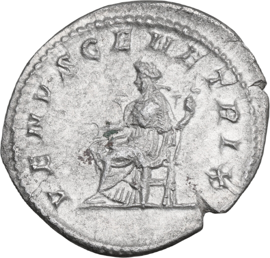 Rovescio moneta