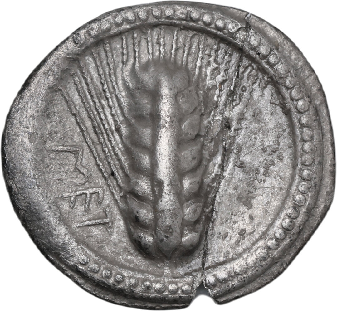 Dritto moneta
