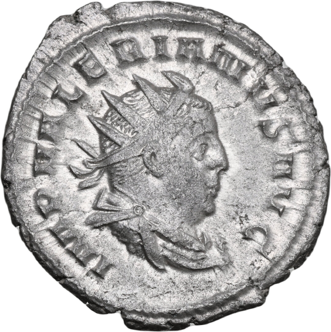 Dritto moneta