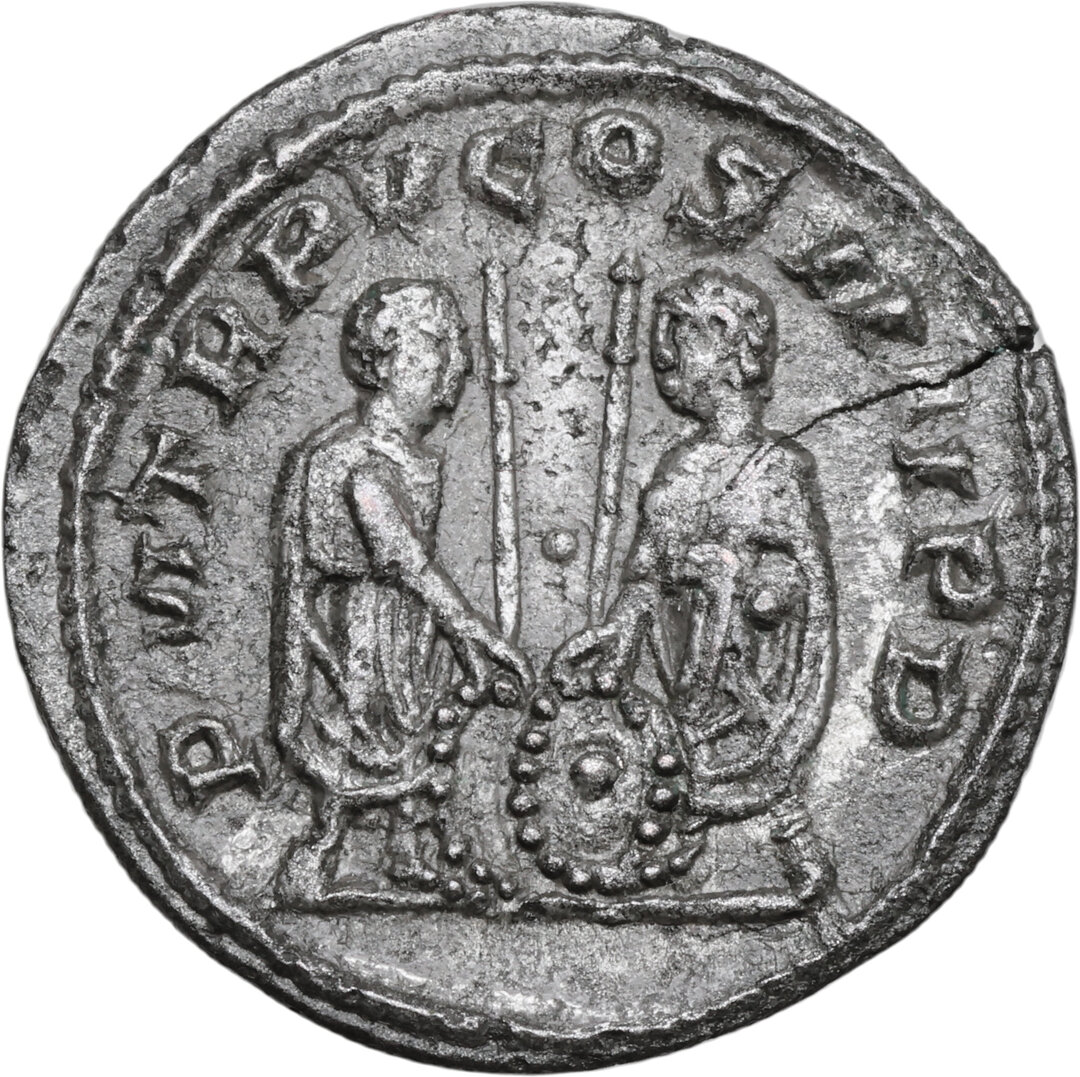 Rovescio moneta