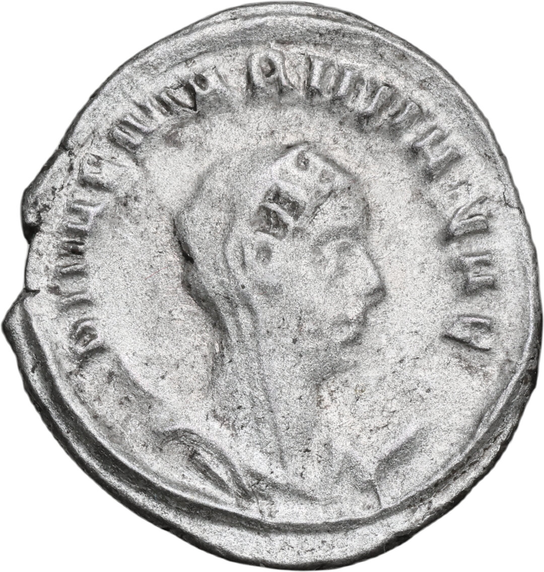 Dritto moneta