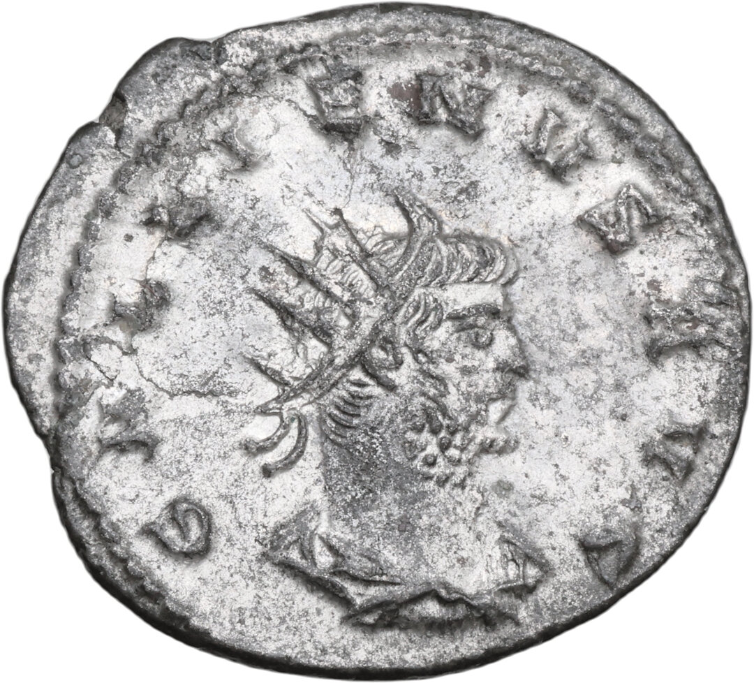 Dritto moneta