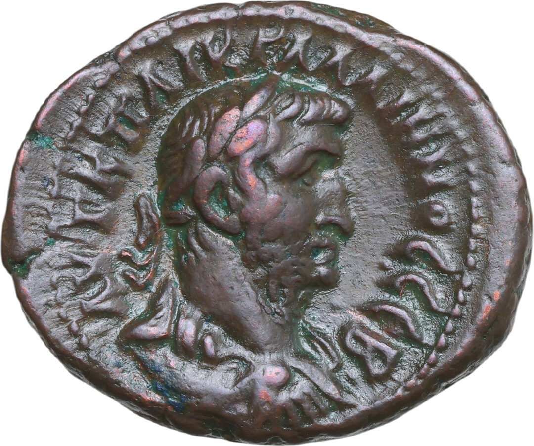 Dritto moneta