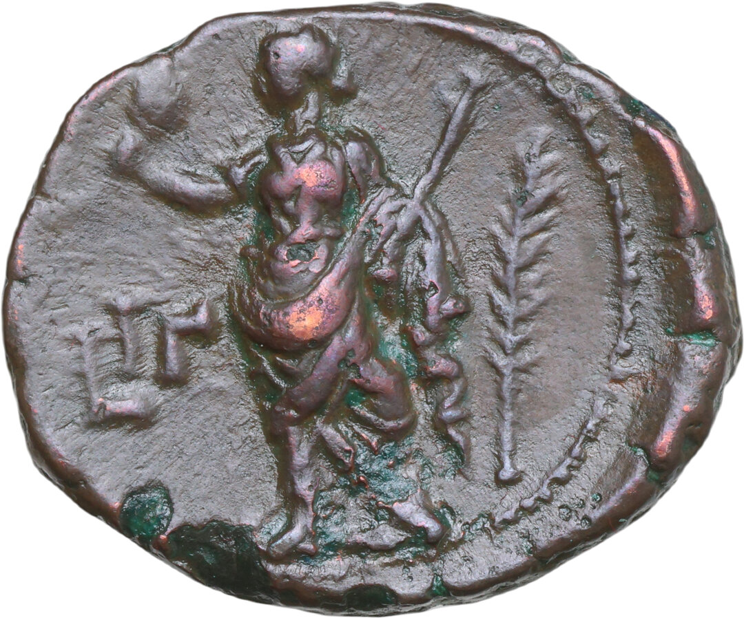 Rovescio moneta