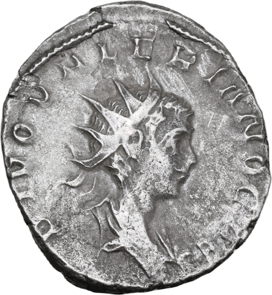 Dritto moneta