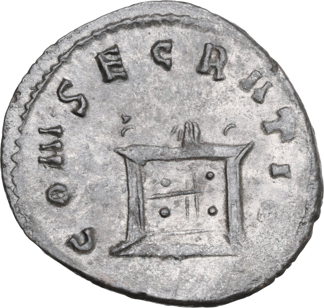 Rovescio moneta