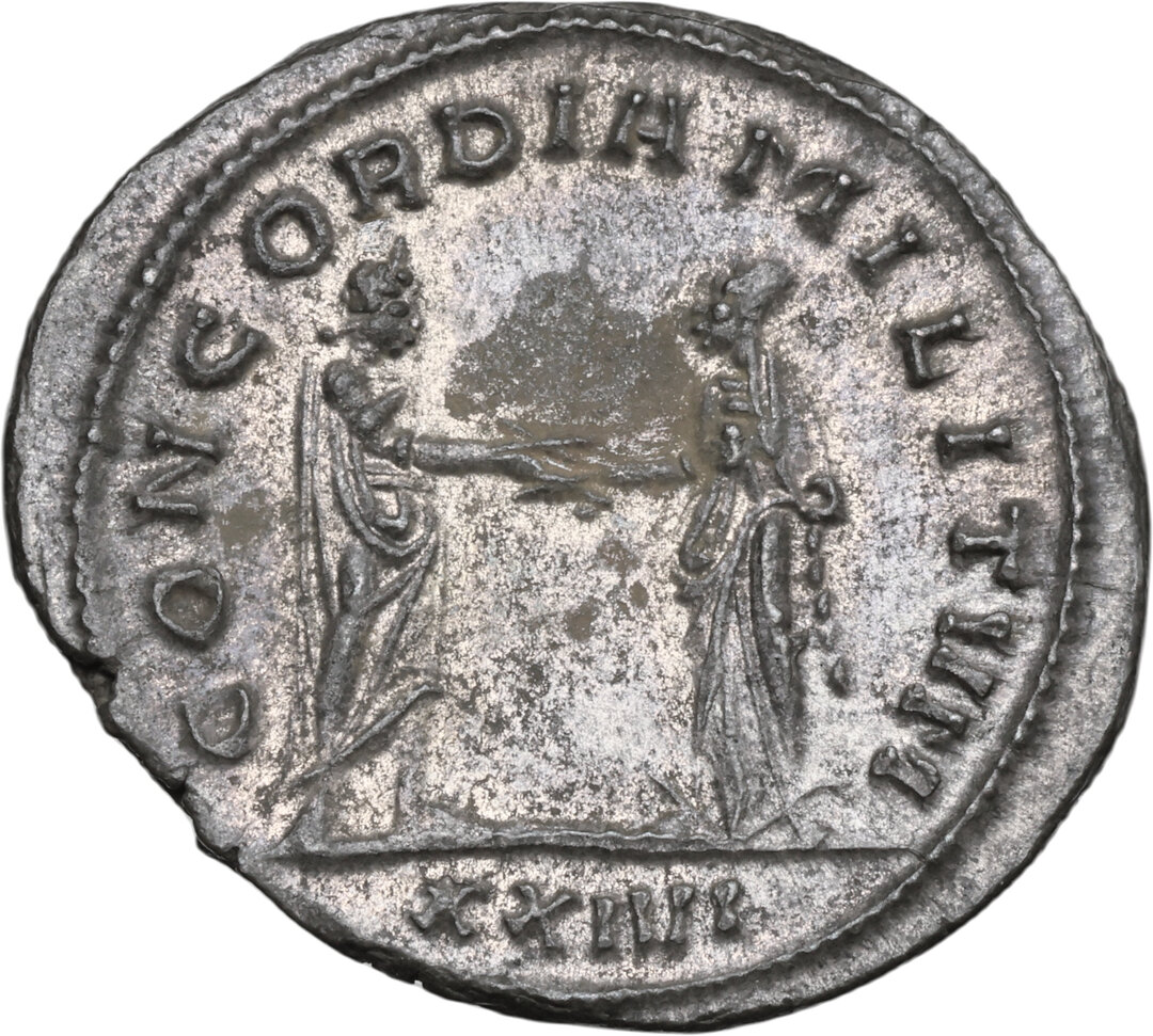 Rovescio moneta
