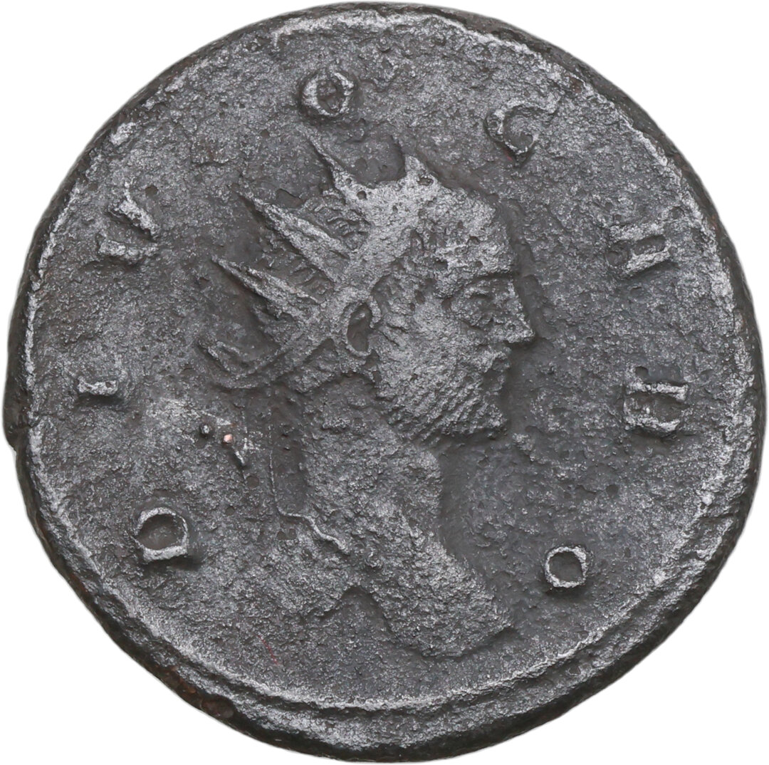 Dritto moneta
