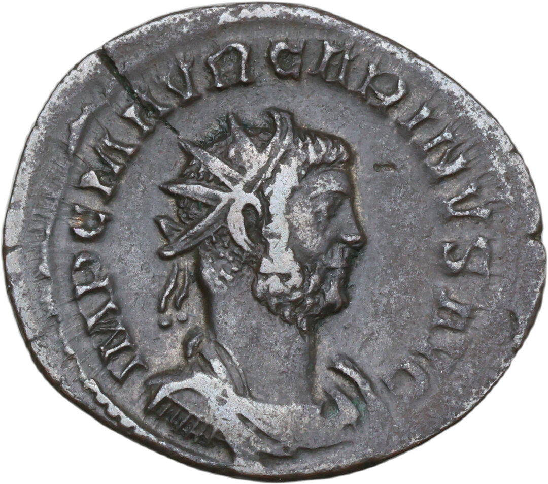 Dritto moneta