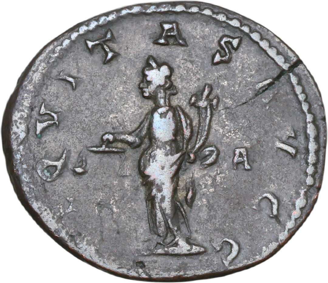 Rovescio moneta