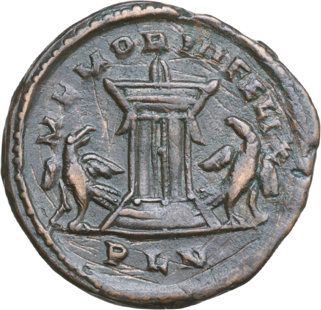 Rovescio moneta