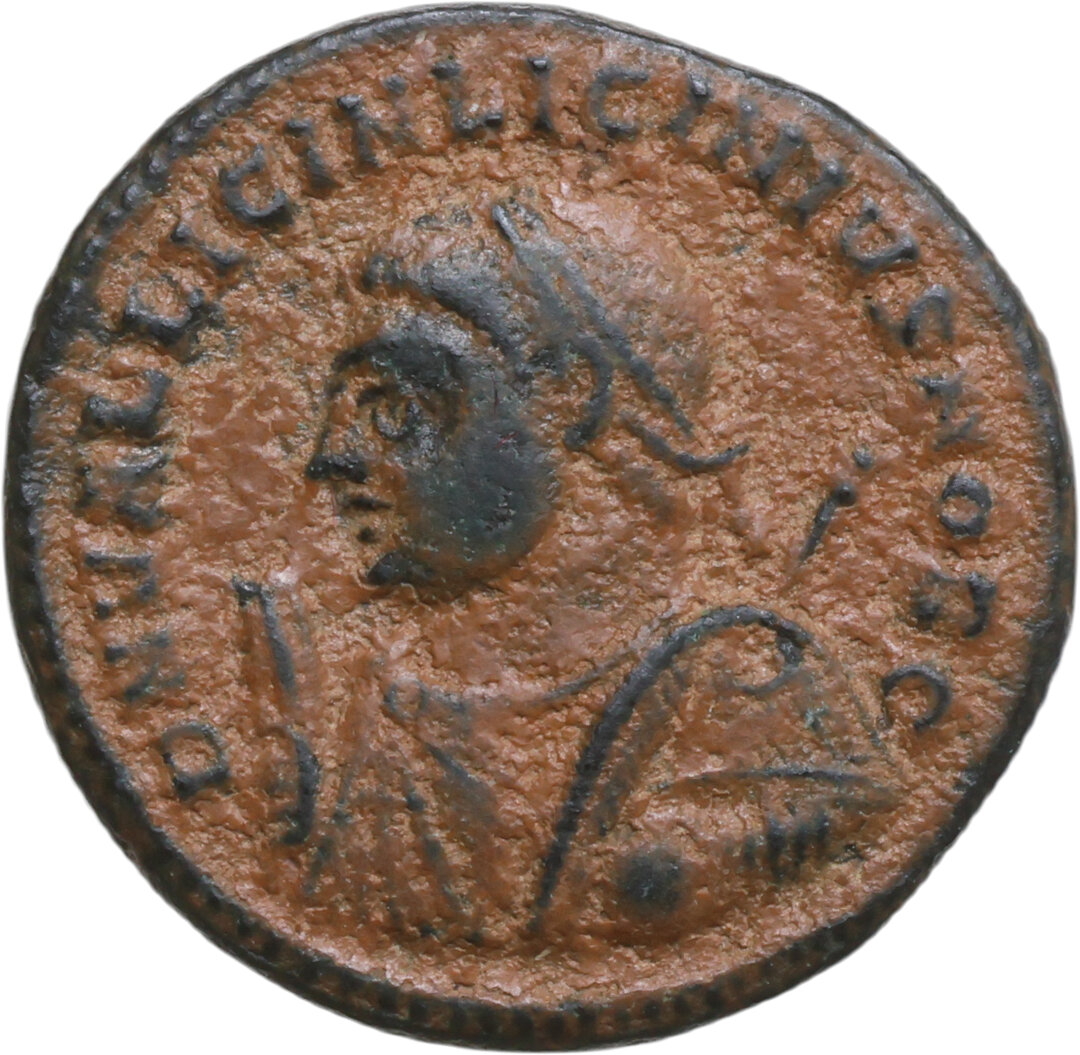 Dritto moneta