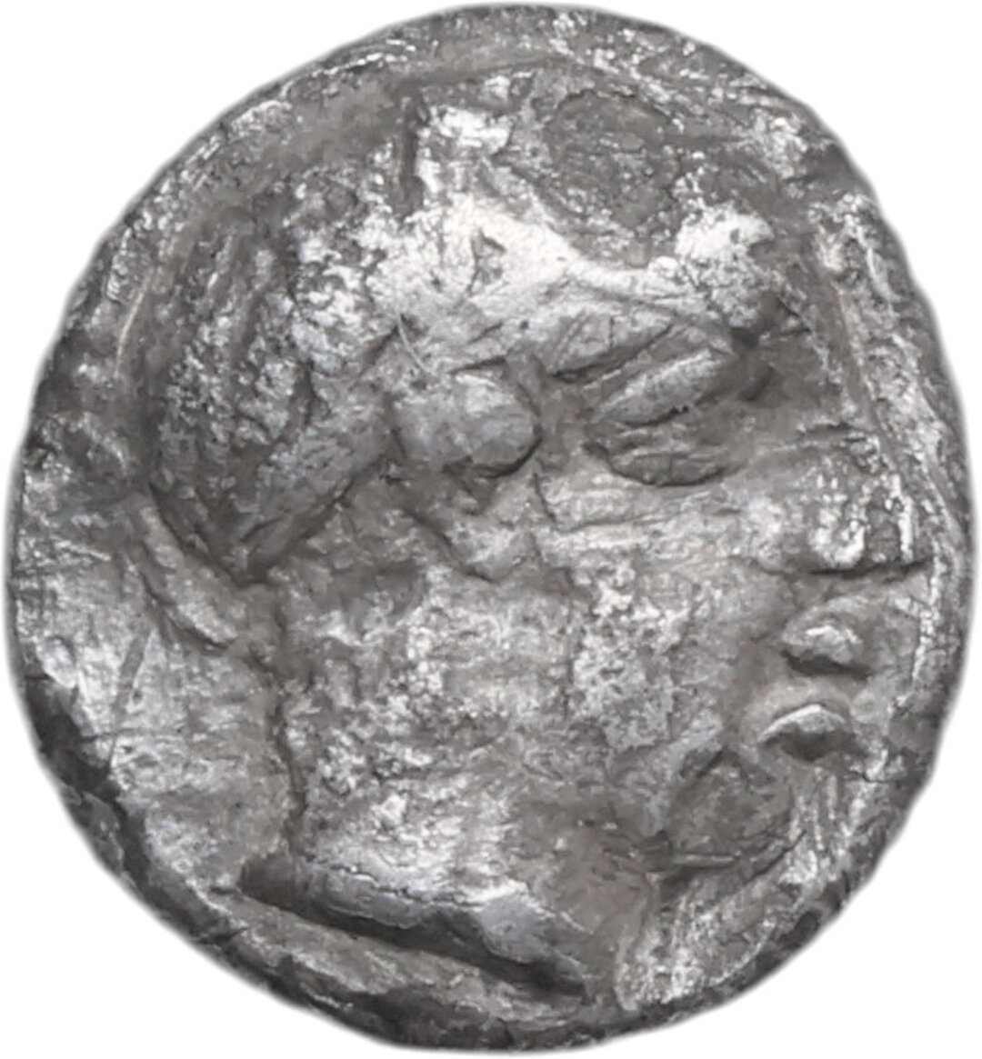 Dritto moneta