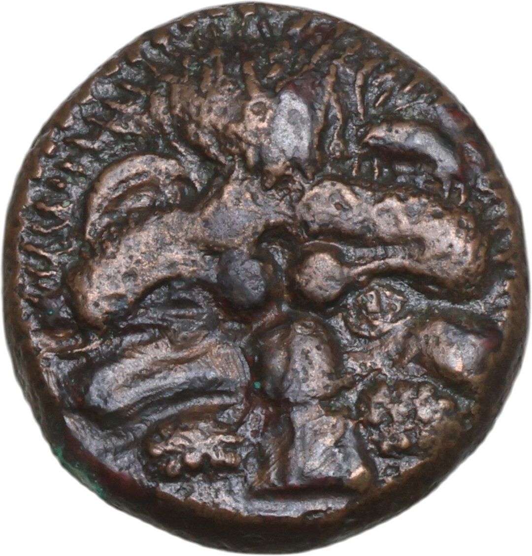 Rovescio moneta
