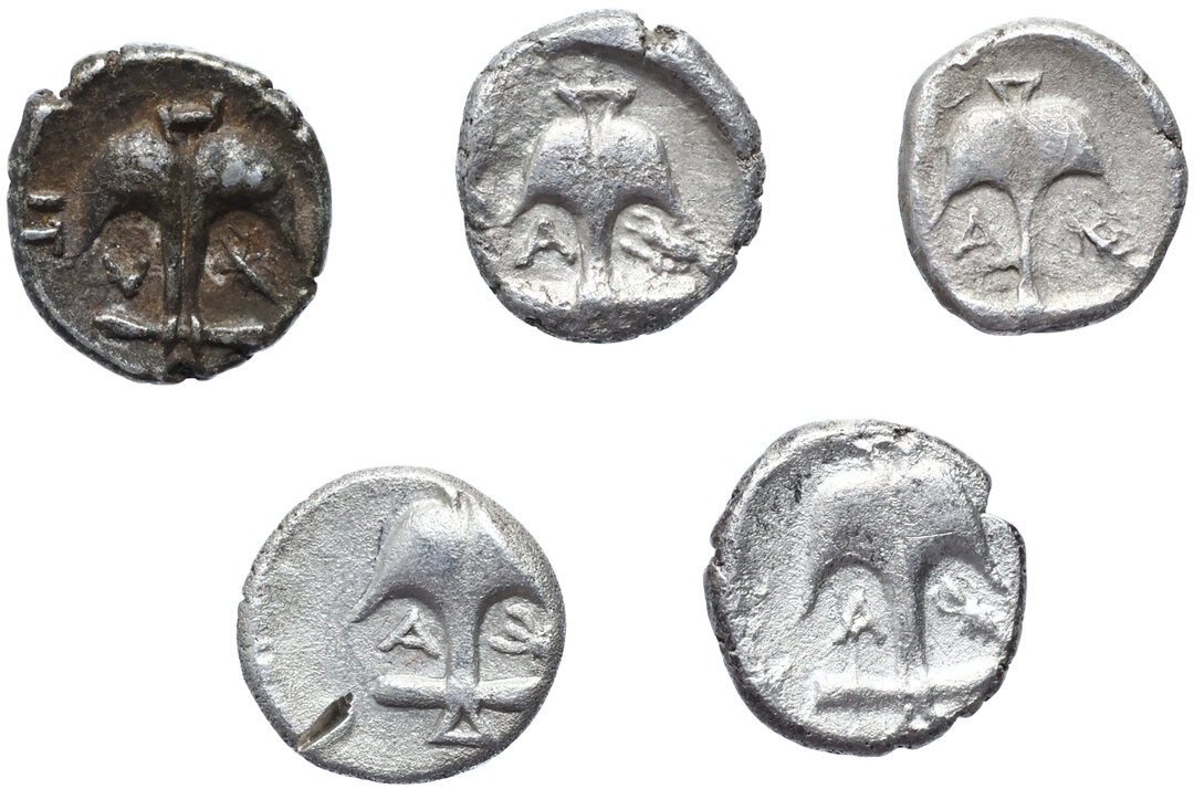 Rovescio moneta