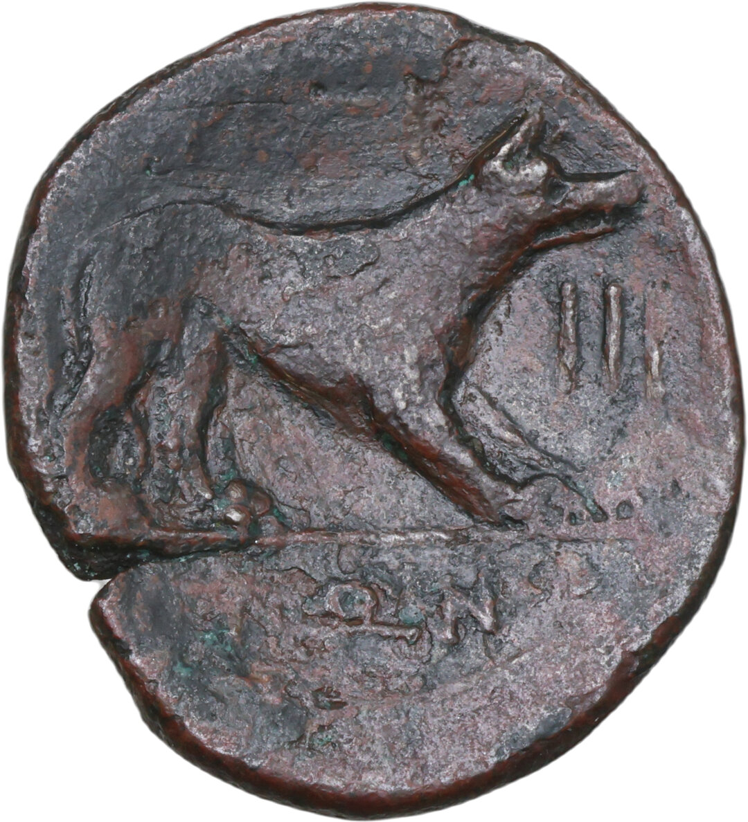 Rovescio moneta