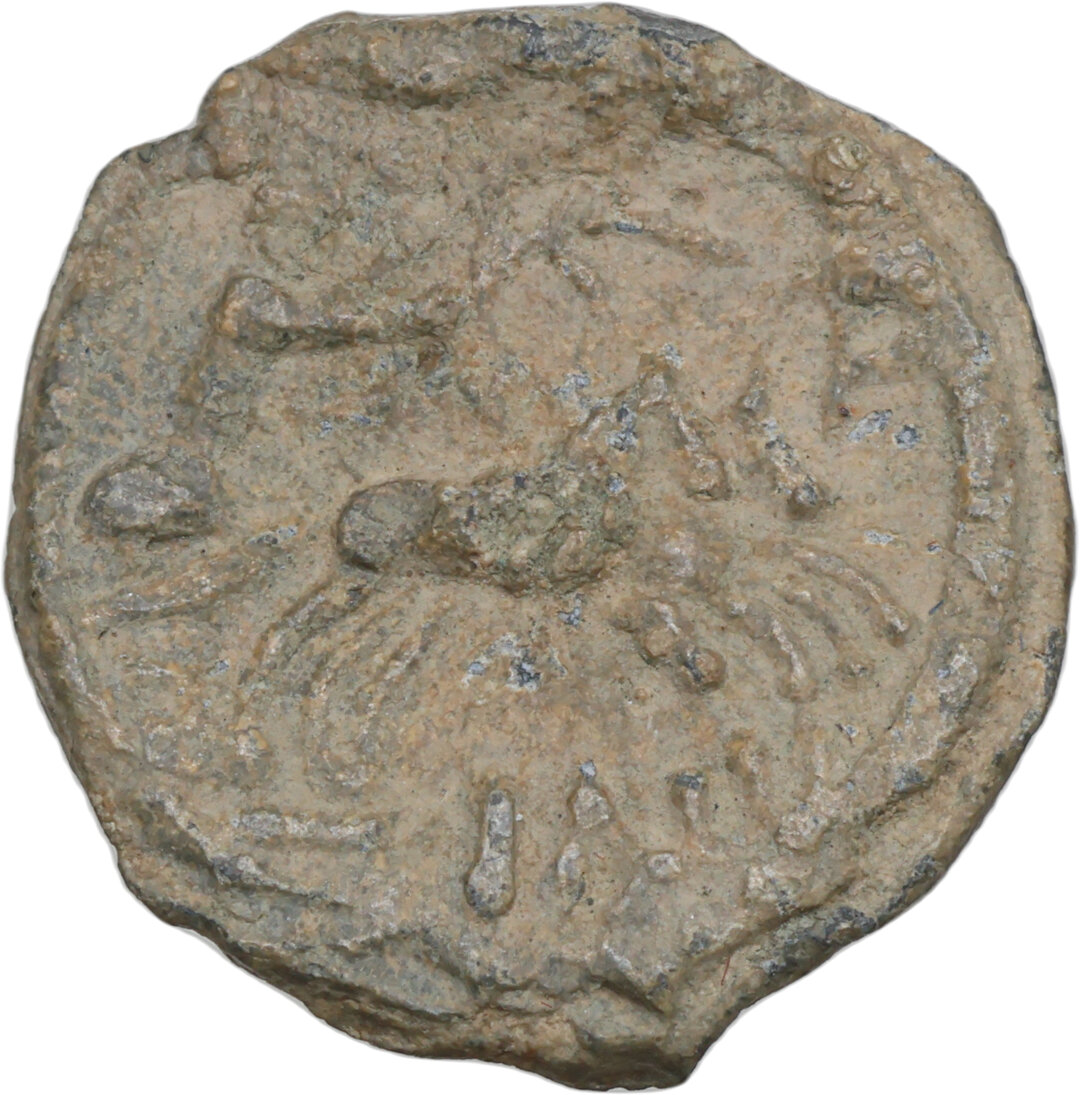 Dritto moneta