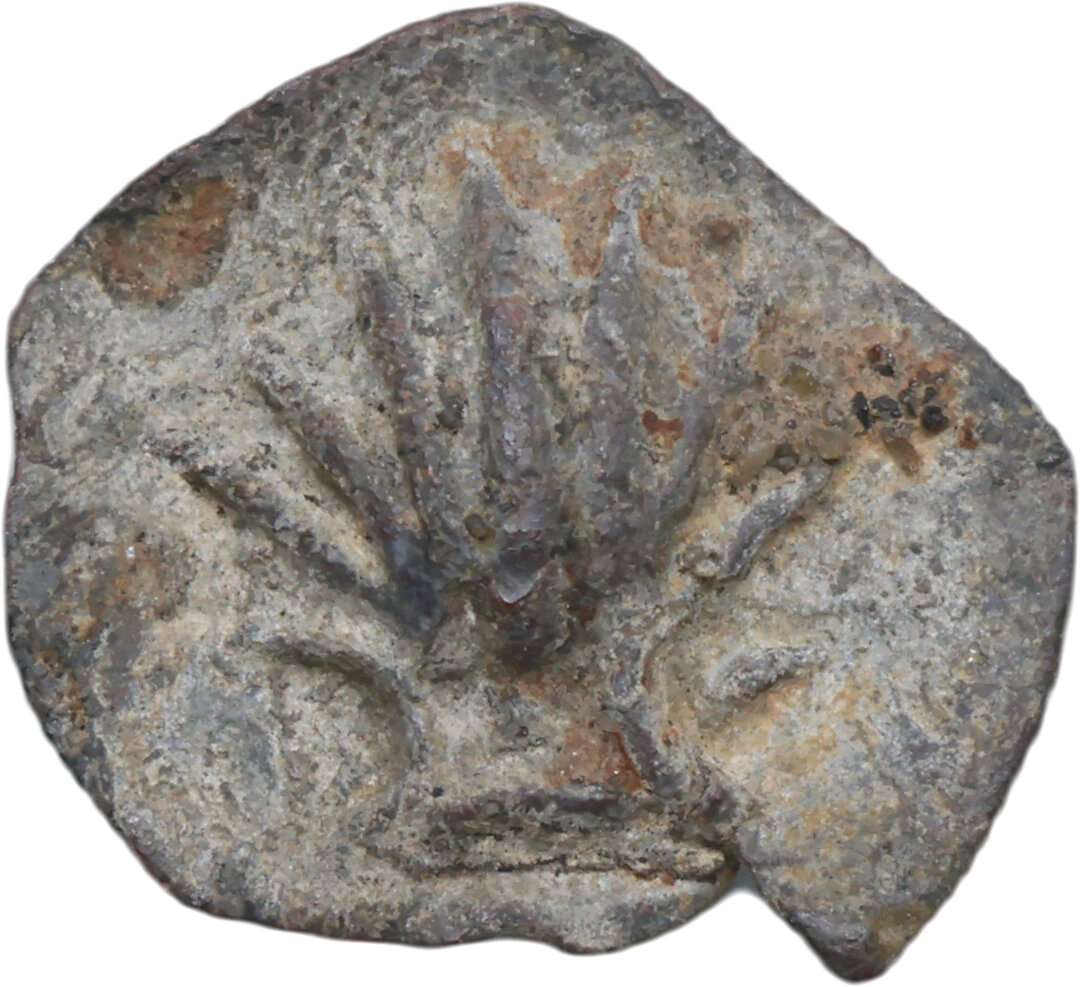 Dritto moneta