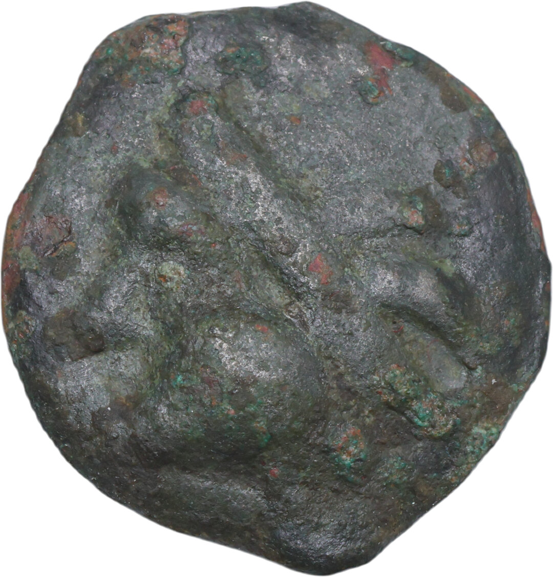 Dritto moneta
