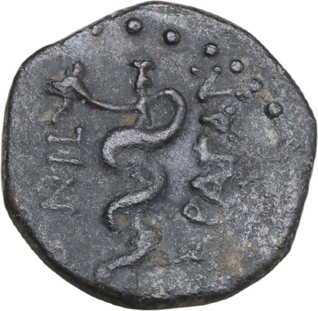 Rovescio moneta
