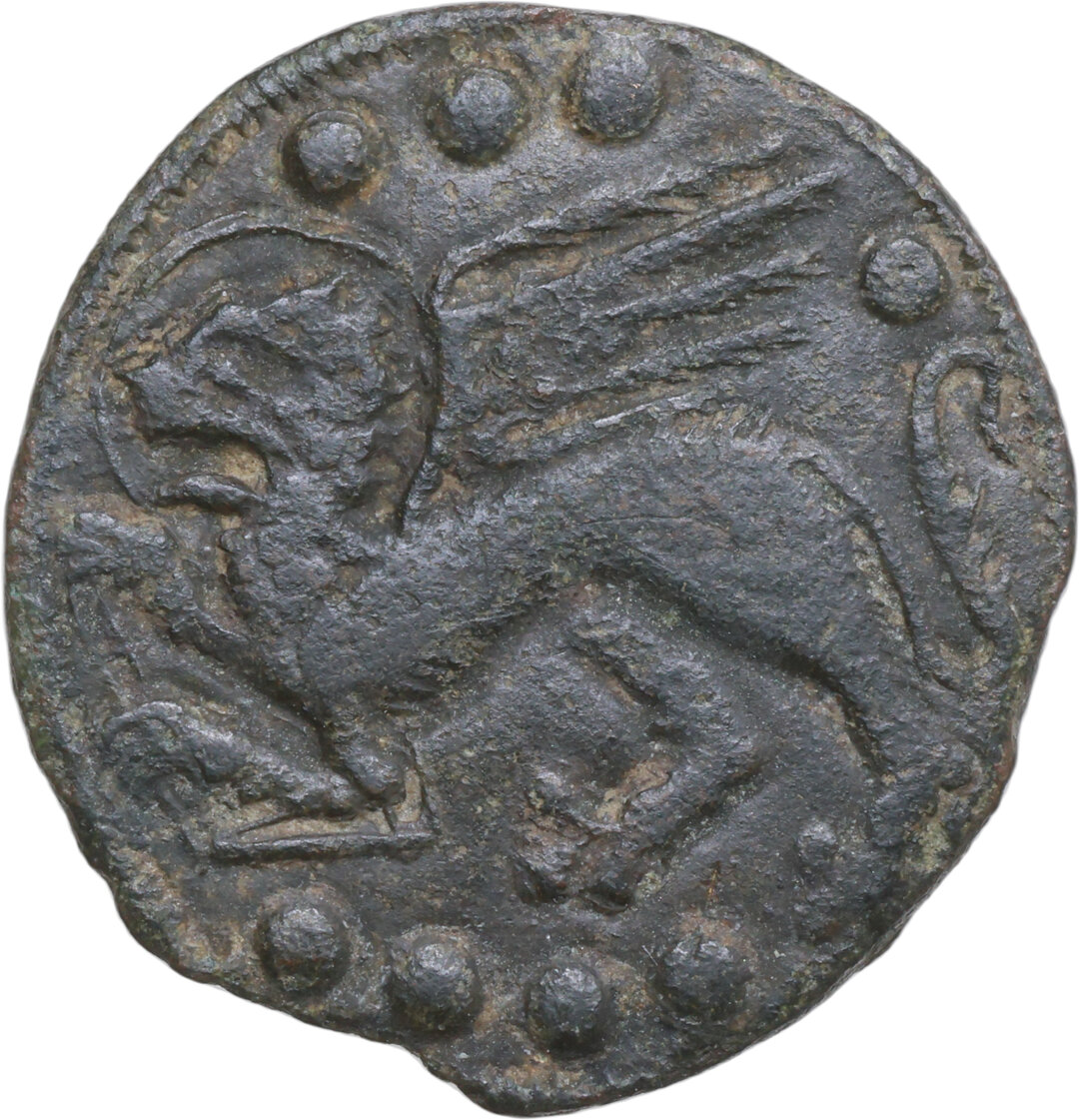 Rovescio moneta