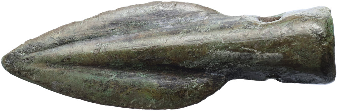 Dritto moneta