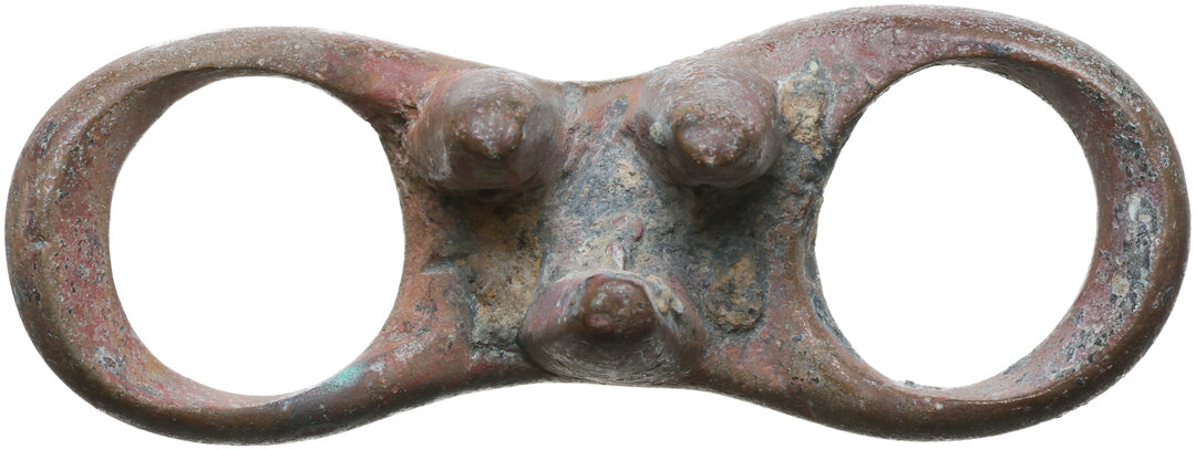 Dritto moneta