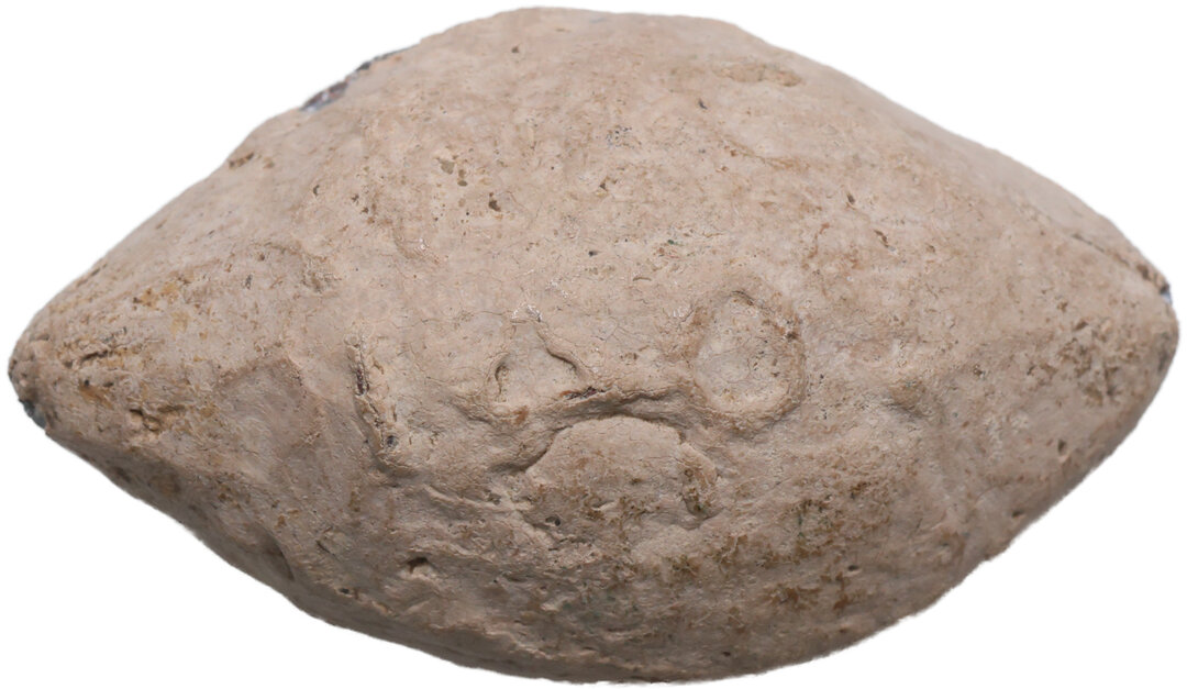 Dritto moneta