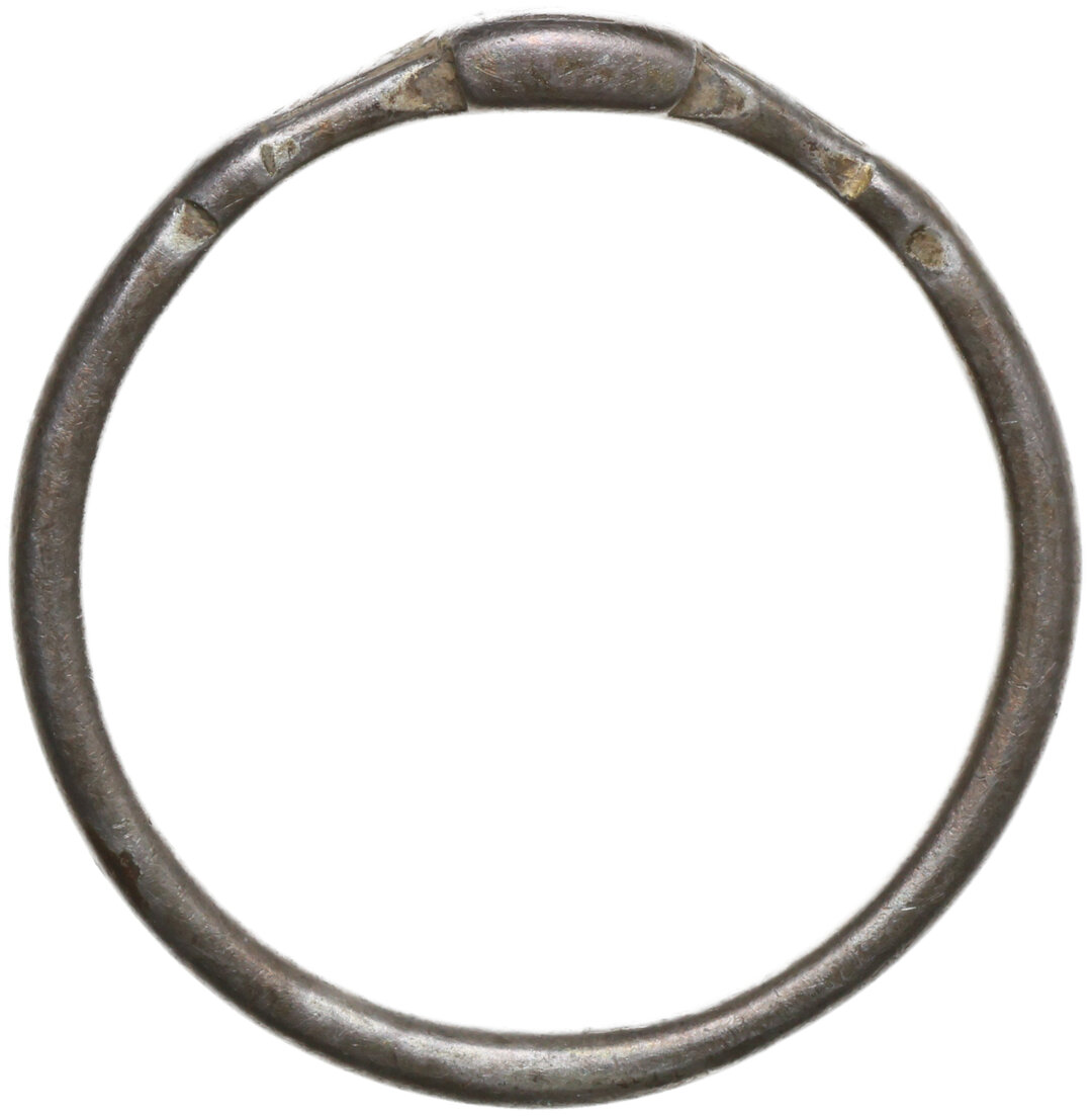 Dritto moneta