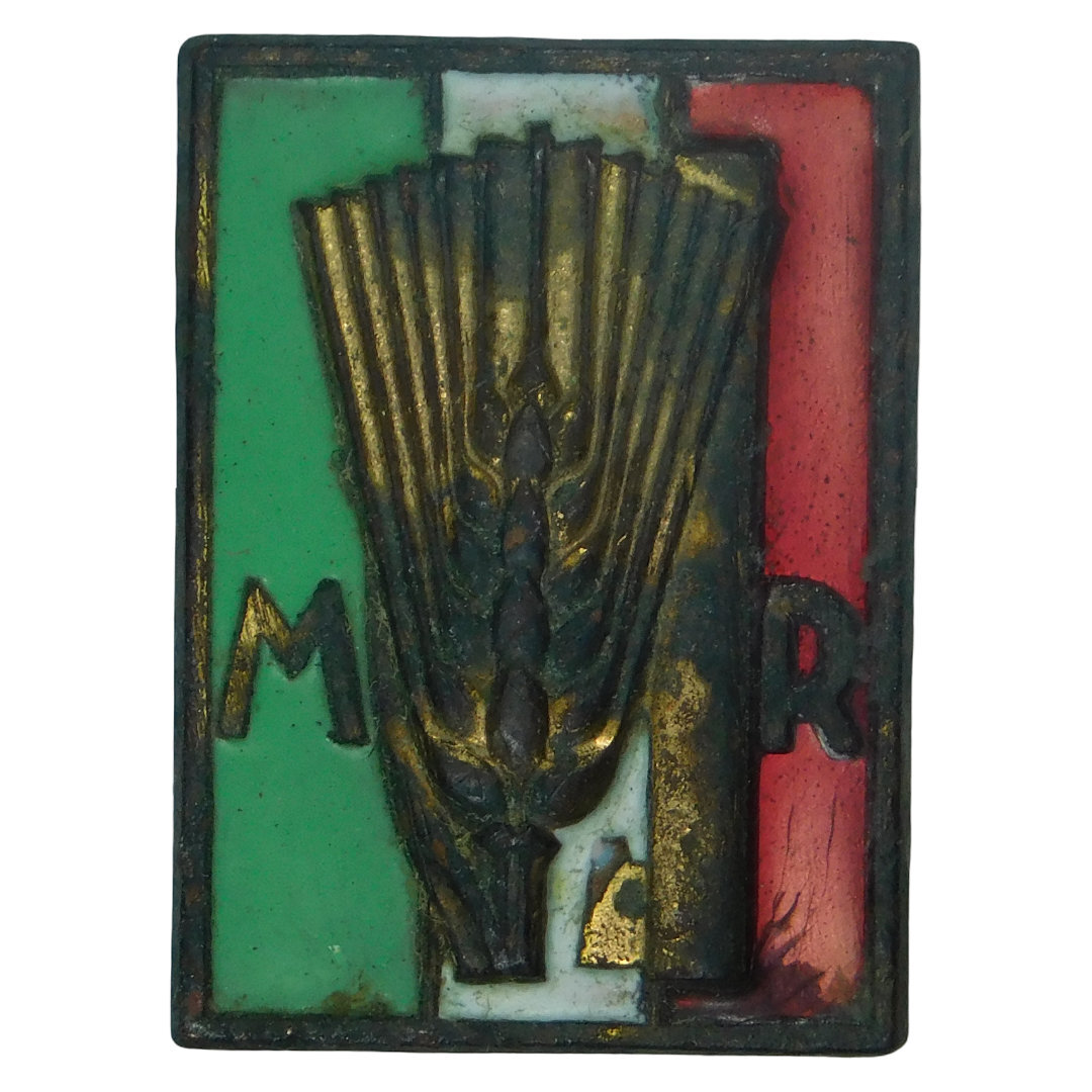 Dritto moneta