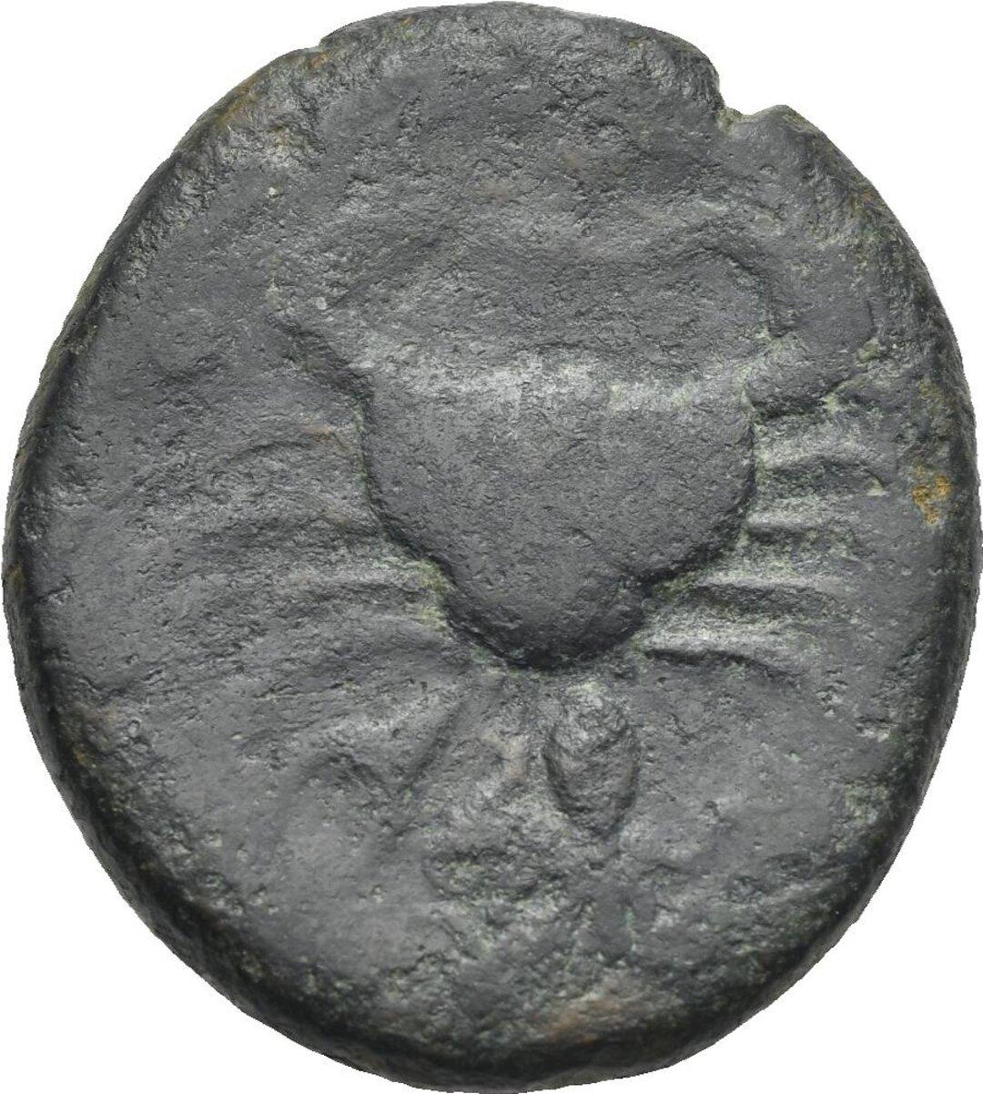Rovescio moneta