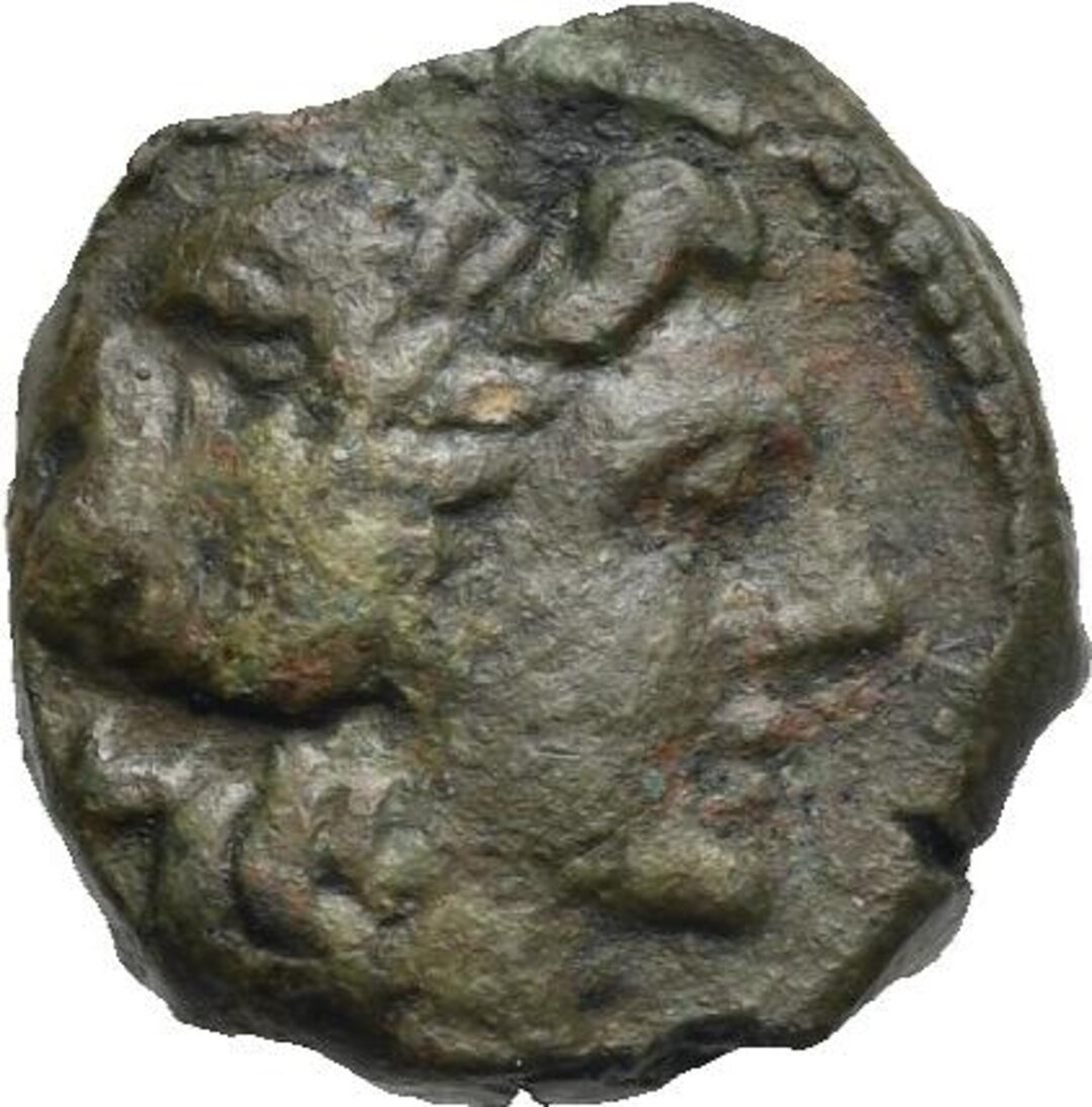 Dritto moneta