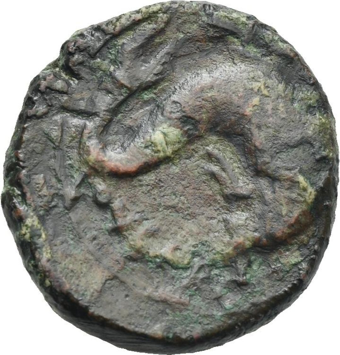 Rovescio moneta