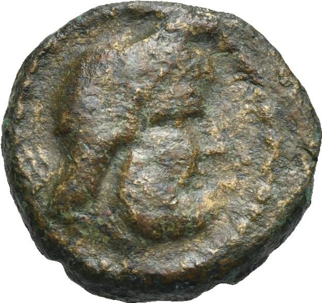 Dritto moneta